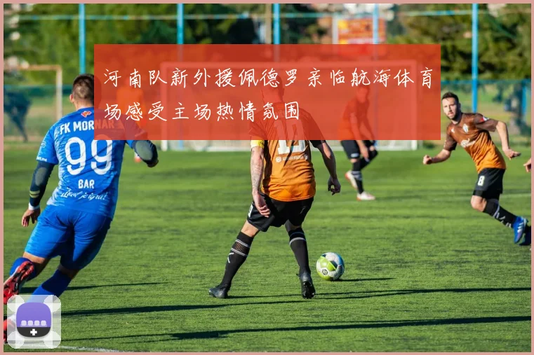 河南队新外援佩德罗亲临航海体育场感受主场热情氛围